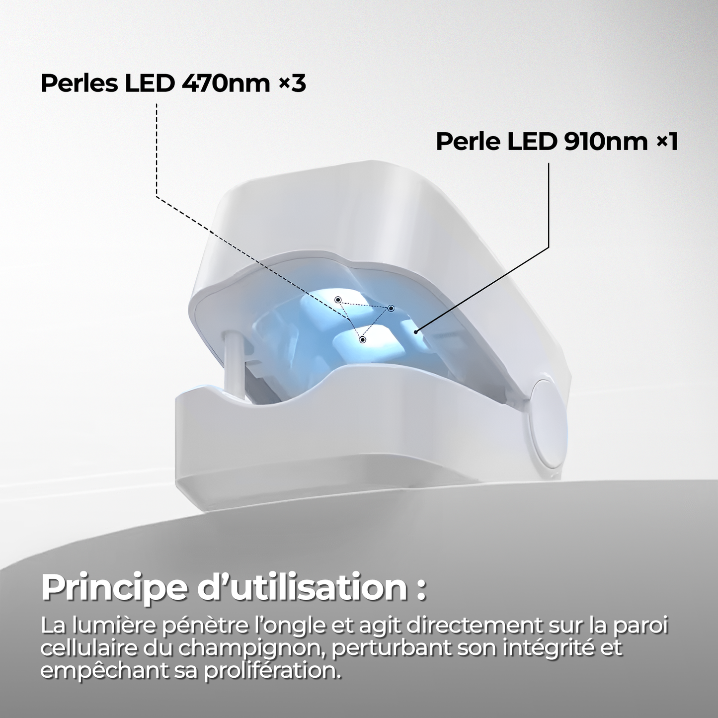 FungaLite Restore™